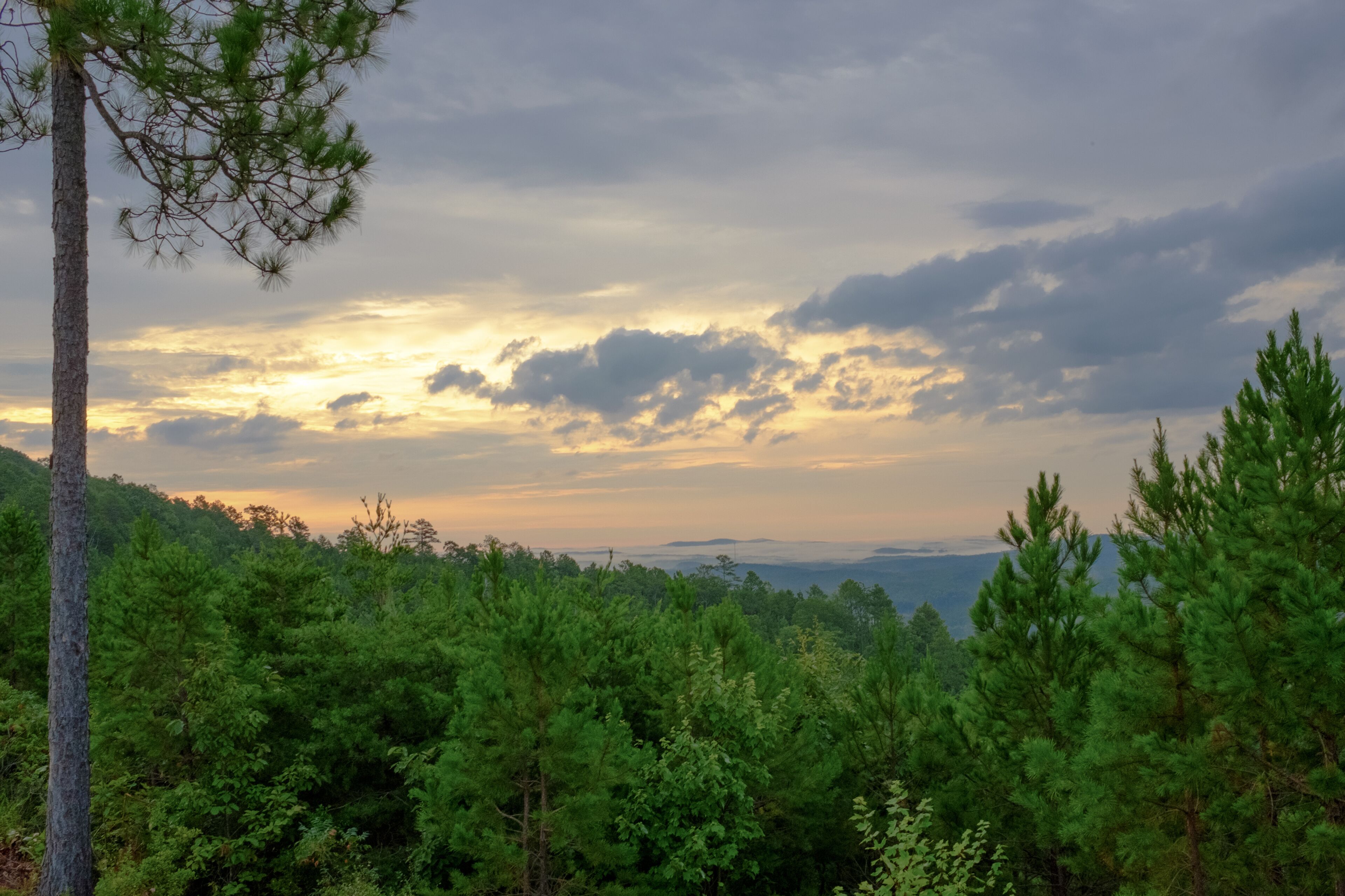 A post-sunrise look over the tops of trees in the Talladega National Forest into a valley near Heflin, Alabama, USA with foggy hills in the distance