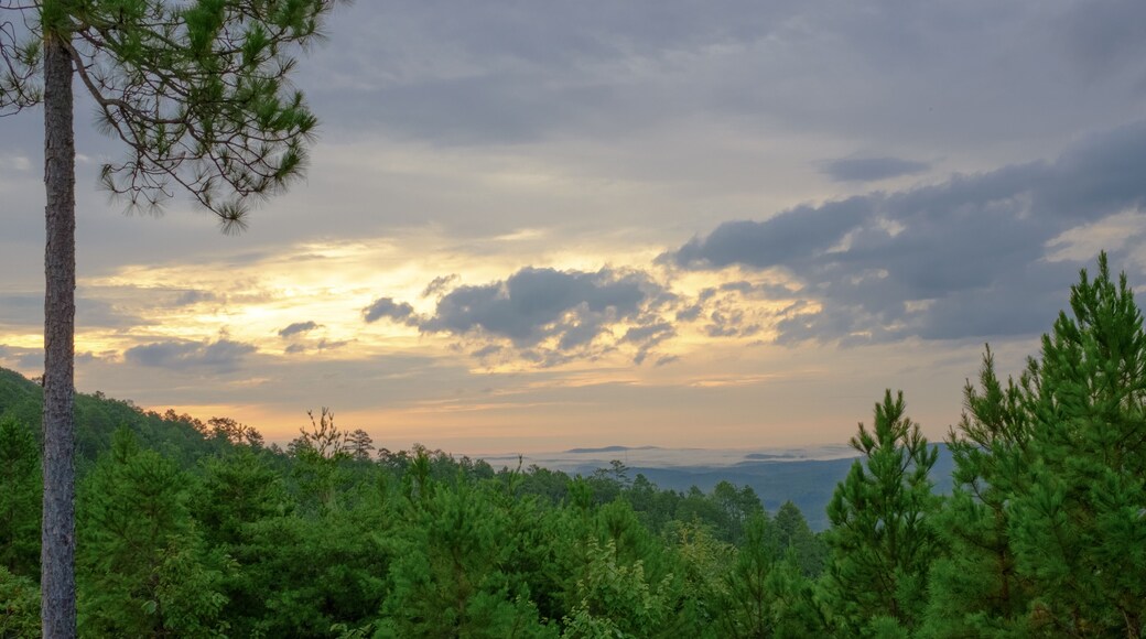 A post-sunrise look over the tops of trees in the Talladega National Forest into a valley near Heflin, Alabama, USA with foggy hills in the distance