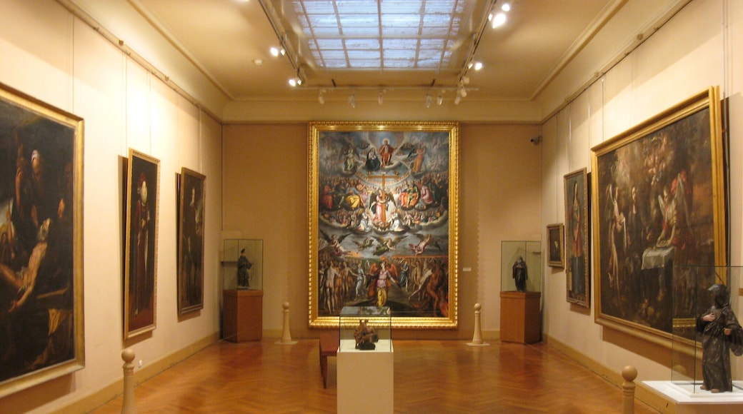 Musée Goya in Castres