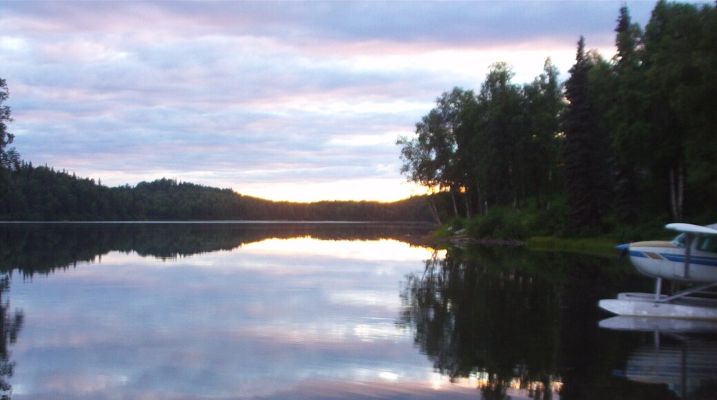 Stayed in a cabin northwest of Lake Bulchitna Lodge with five fishing friends and had a fantastic time fishing for salmon and trout. The serenity of Lake Bulchitna at sunset was matched only by the amazing diversity of wildlife we were privileged to observe.