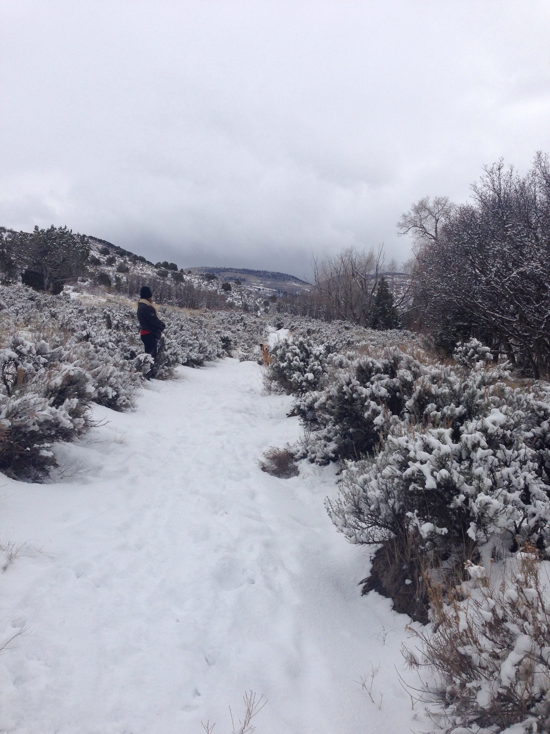 Hernage Creek Trail in Eagle Ranch.