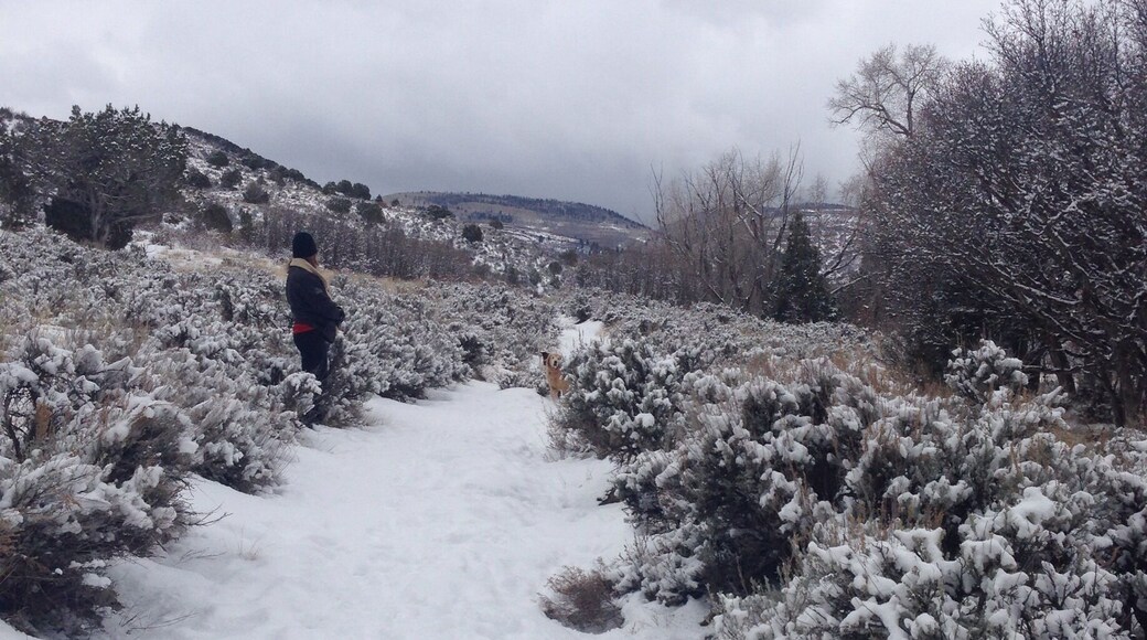 Hernage Creek Trail in Eagle Ranch.