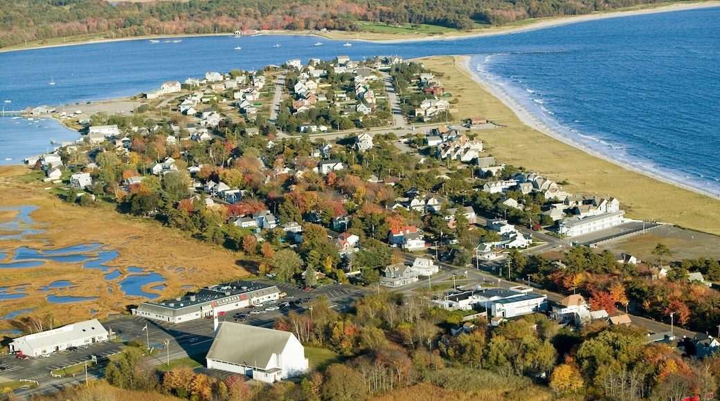 Blue Point