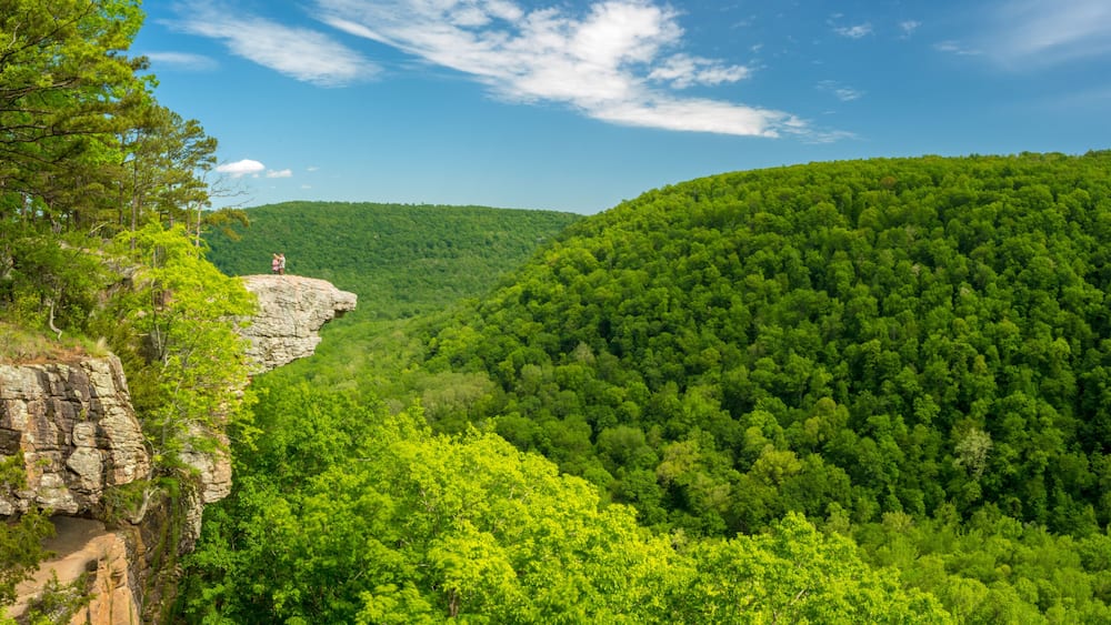 A forested valley with a rocky outcrop and a person standing on a cliff.