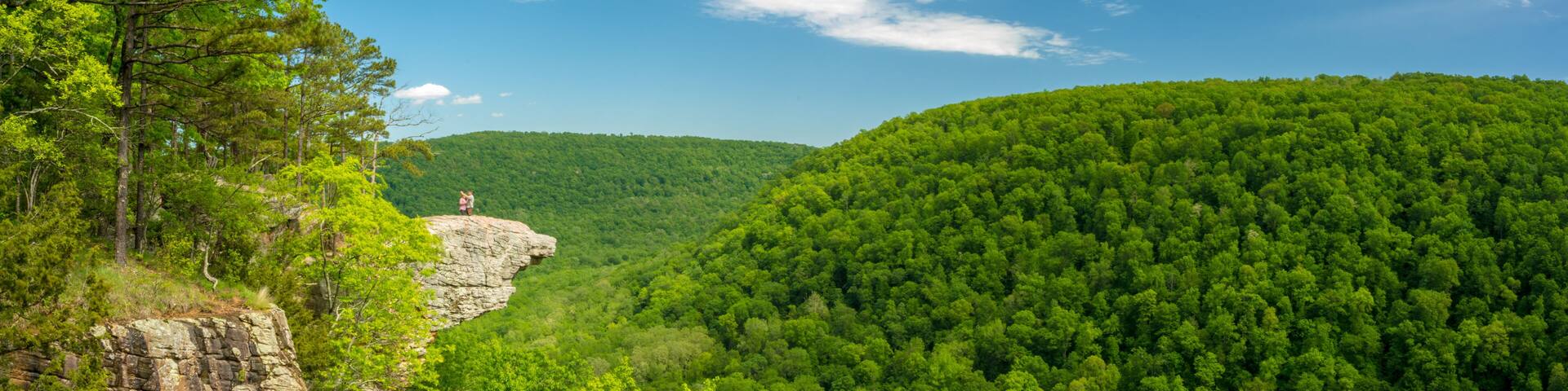 A forested valley with a rocky outcrop and a person standing on a cliff.
