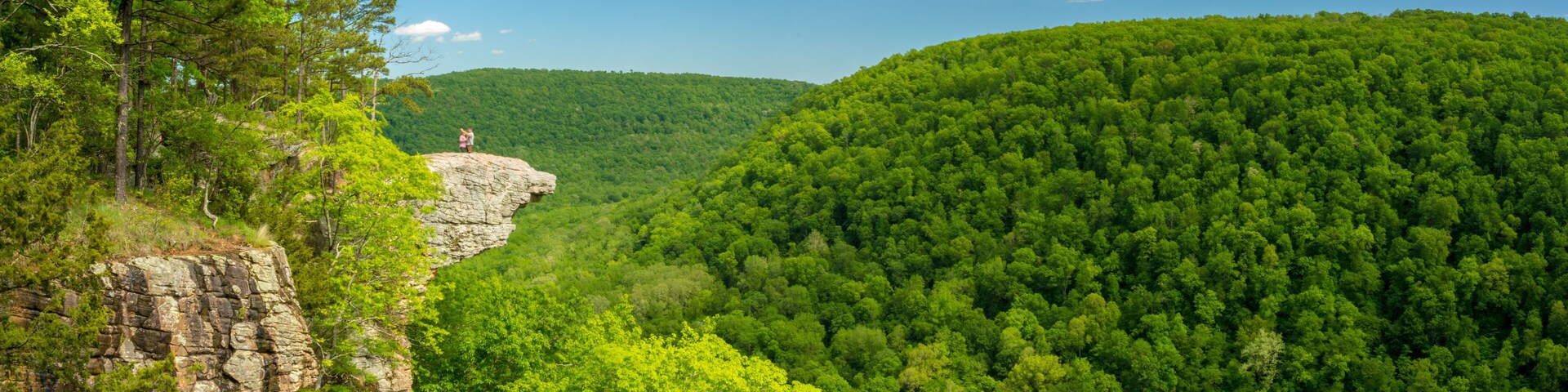 A forested valley with a rocky outcrop and a person standing on a cliff.
