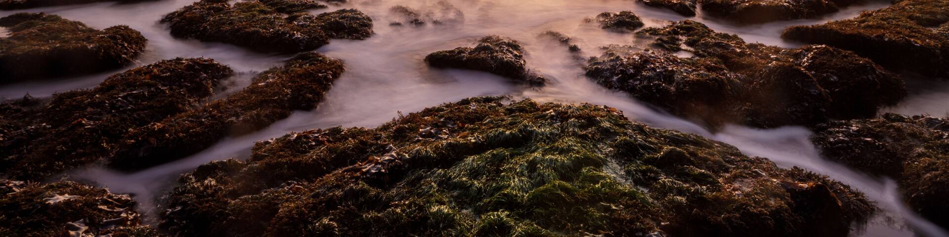 Winter Sunset over tide pools and crashing waves at Bean Hollow State Beach near Pescadero, San Mateo County, California, USA.
