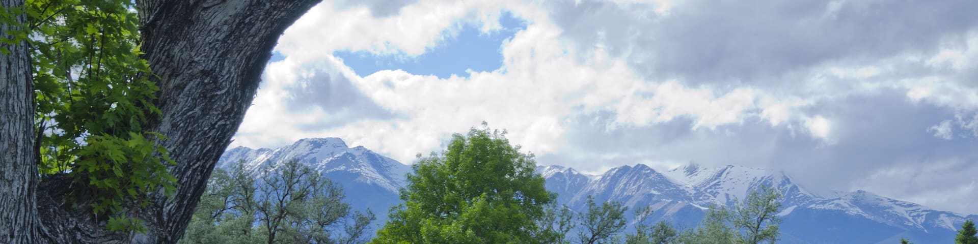 D5343 Salida Golf Course and Mountain Views