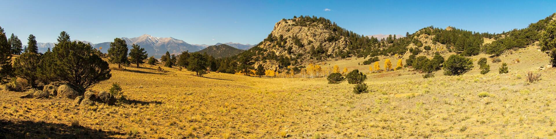 Fall 2020 in Buena Vista