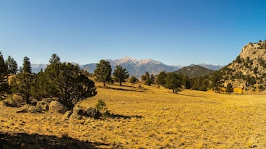 Fall 2020 in Buena Vista