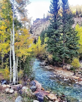 #mybackyard