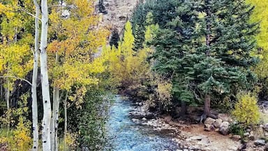 A clear stream surrounded by trees with autumn foliage, rocky terrain, and a mountainous backdrop.