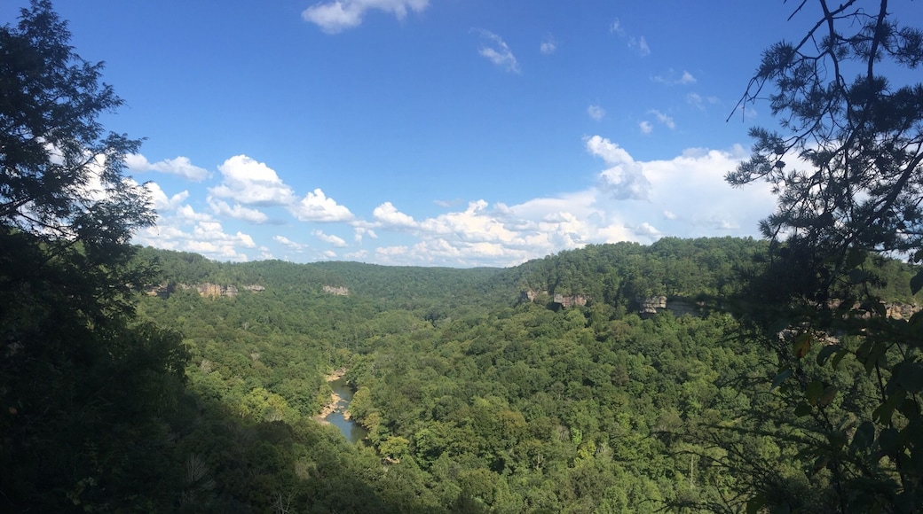 Stunning view of the Rockcastle River.