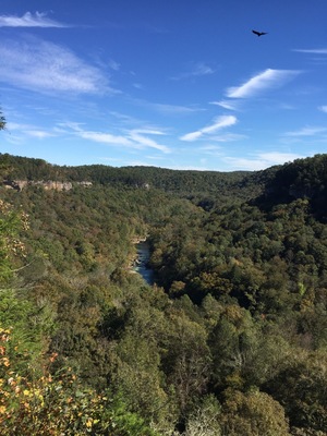 Leaves starting to change off Bolthouse Ridge.