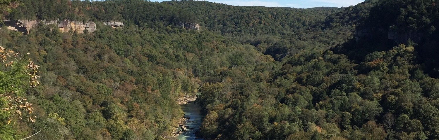 Leaves starting to change off Bolthouse Ridge.