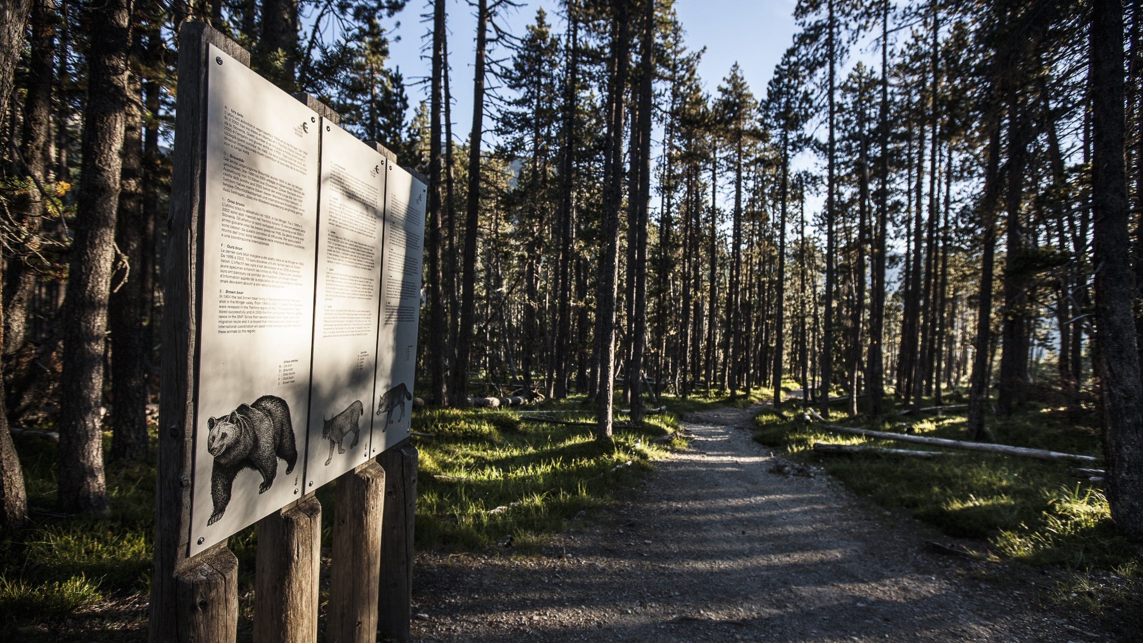 <h2>Top places to stay near the beach</h2>