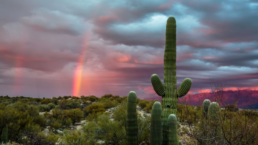 A Winter storm begins to clear at sunset and a rainbow arcs over the Sonoran Desert near Tucson, Arizona.