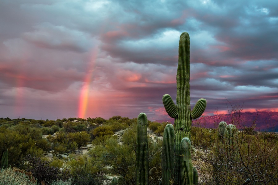 A Winter storm begins to clear at sunset and a rainbow arcs over the Sonoran Desert near Tucson, Arizona.
