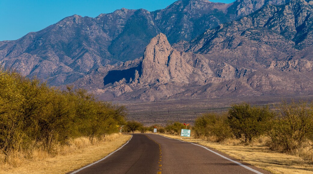 Santa Rita Mountains with Elephant Head near Tucson Arizona Green Valley landscape nature
