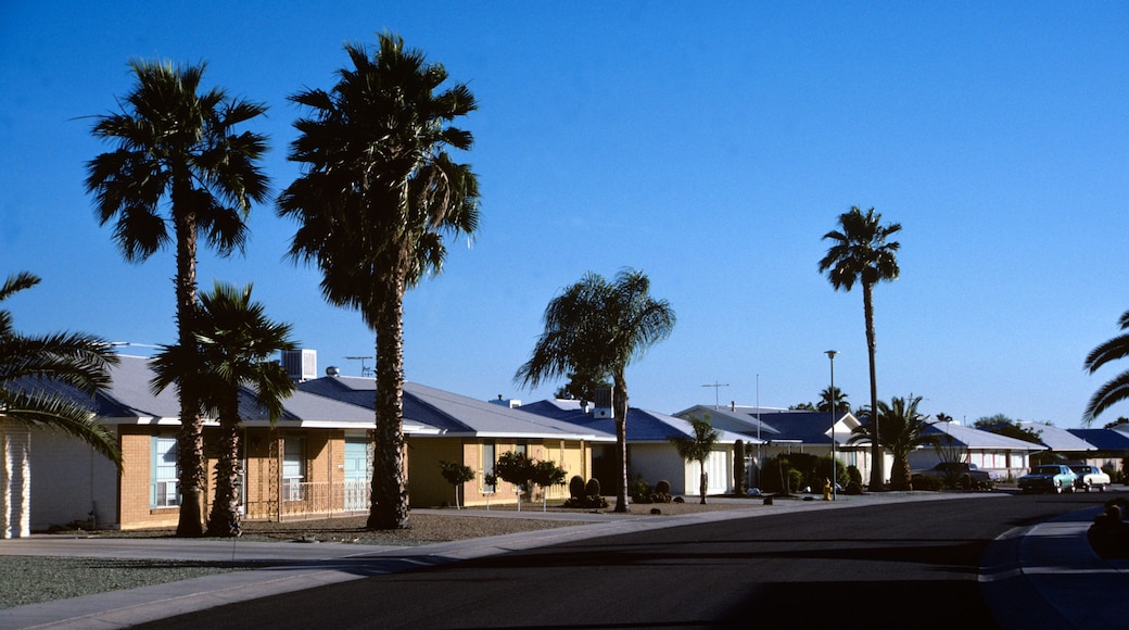 AAKMAX 1980s DESERT FOREST CIRCLE SUN CITY ARIZONA USA