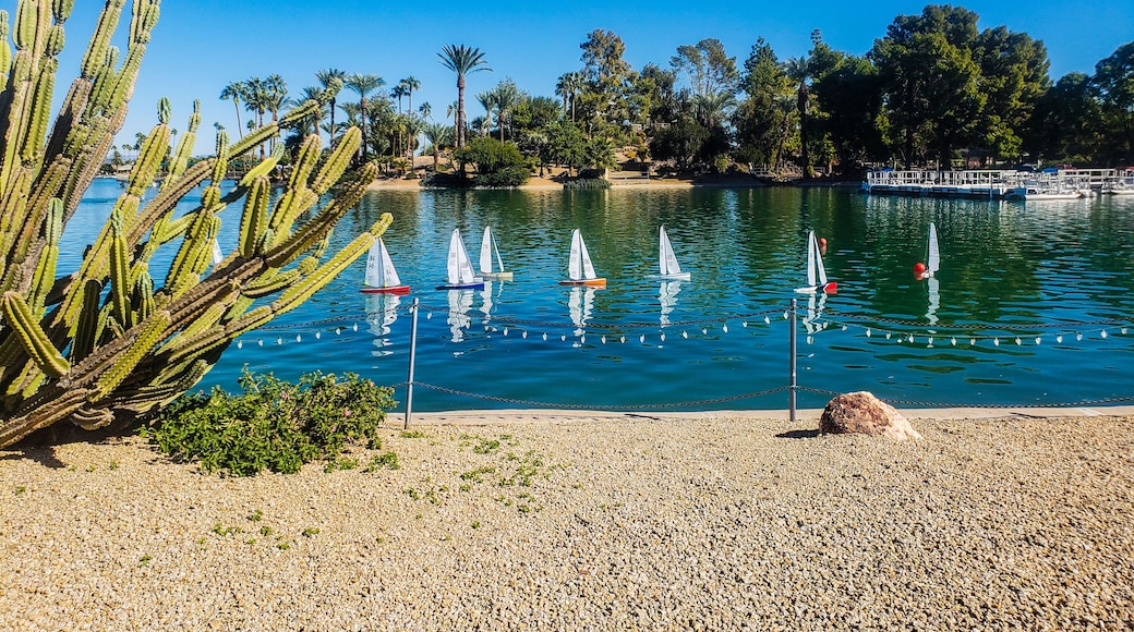 Seven remote control sailboats race past a cactus and around buoys on a lake in Sun City Arizona while large palm trees, a blue sky and paddle boats loom in the background, Shutterstock ID 1230284962,