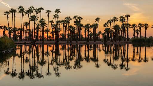 Litchfield Park