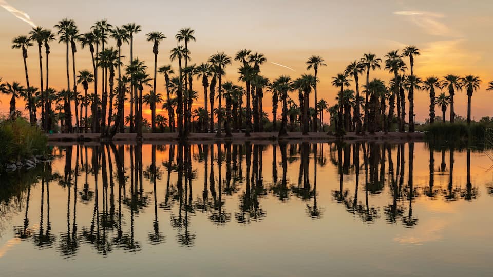 A sunset over a calm body of water with tall palm trees reflected in the water.