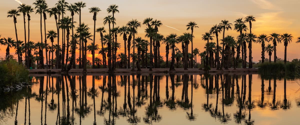 A sunset over a calm body of water with tall palm trees reflected in the water.
