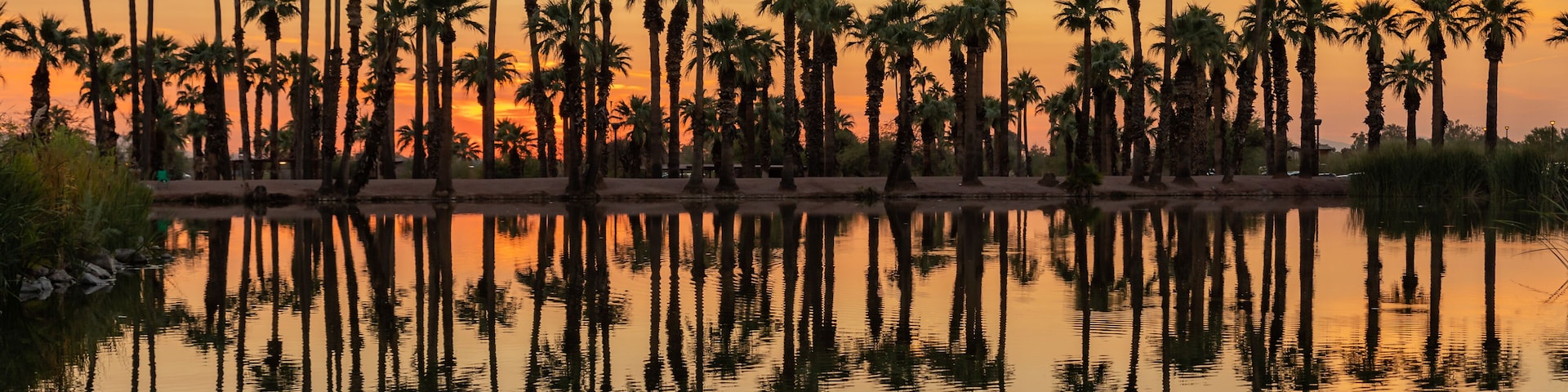 A sunset over a calm body of water with tall palm trees reflected in the water.