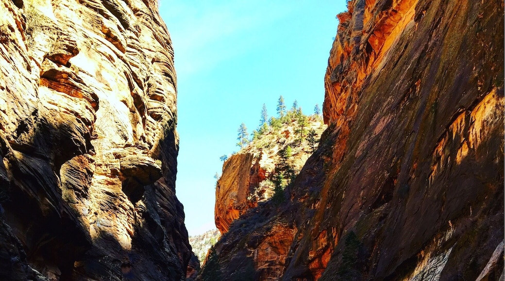 Road trip 2016
#utah #hike #adventure #explore