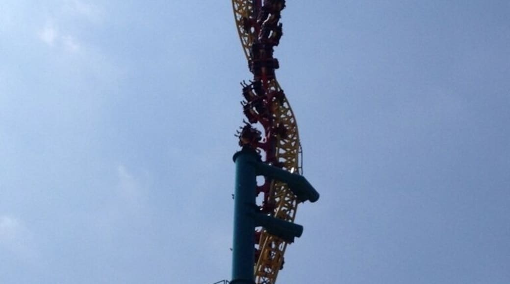 Possessed coaster twists you straight up into the sky and then you fall backwards the same way you got there- very fun! Not for the weak heart or stomach.