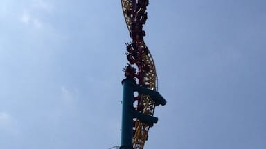 Possessed coaster twists you straight up into the sky and then you fall backwards the same way you got there- very fun! Not for the weak heart or stomach.