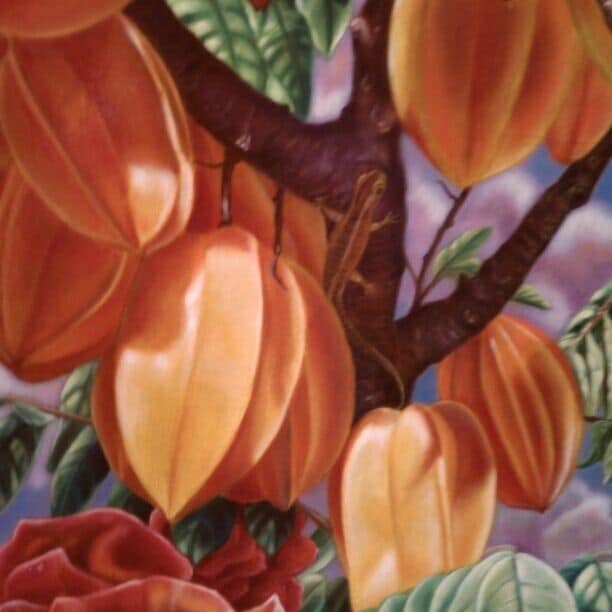 Can you find the lizard in the star fruit?