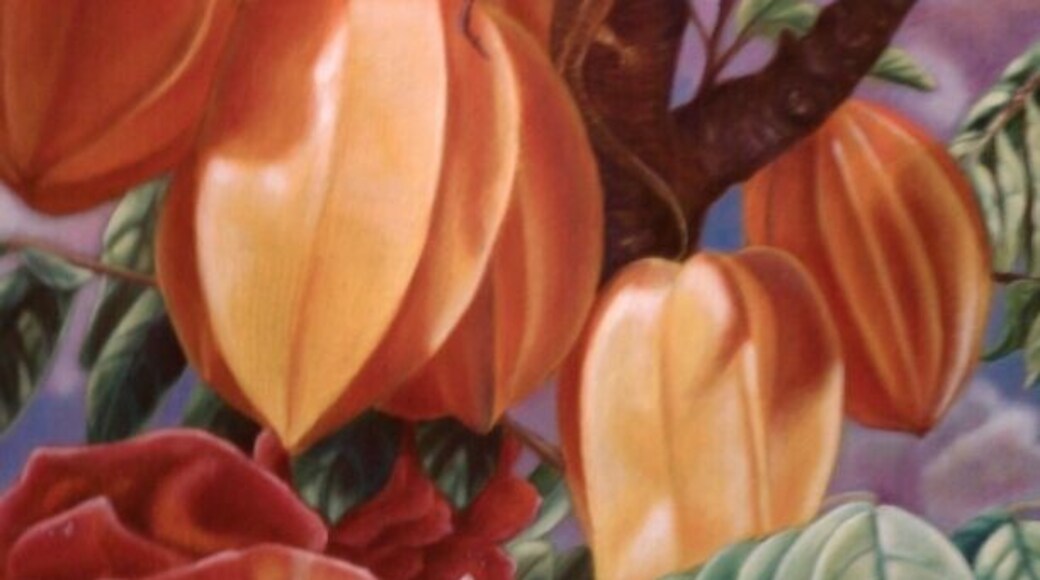 Comté de Pottawatomie