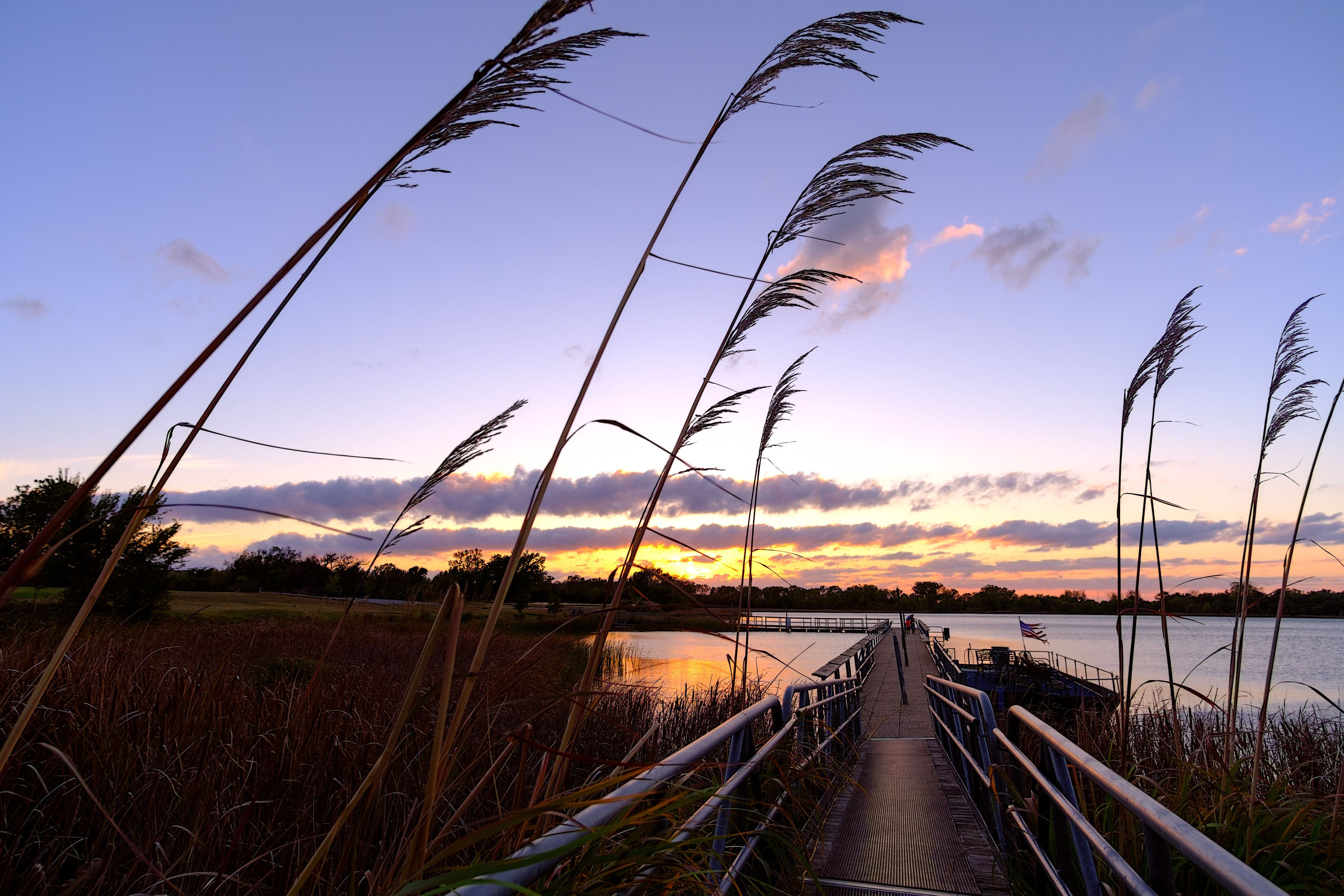 A wooden bridge over a calm body of water with tall grasses and a sunset sky.