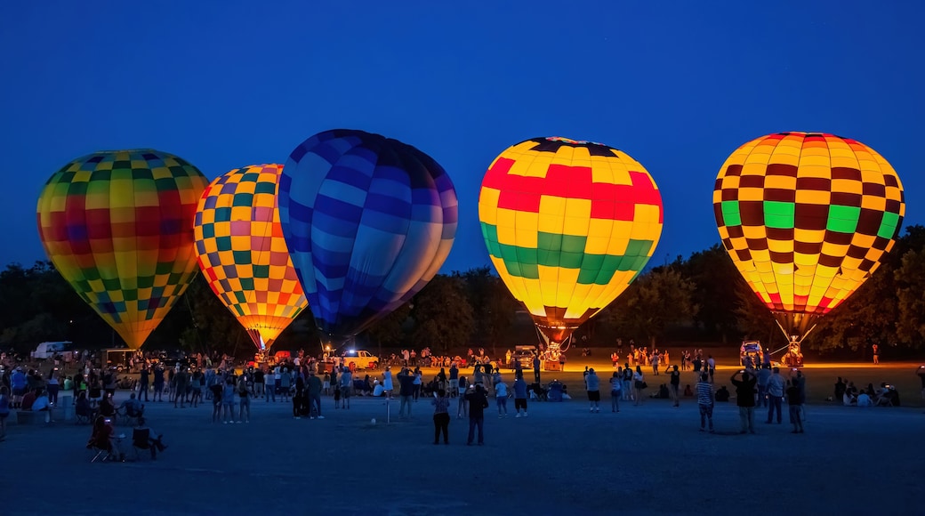 Night view of the Firelake Fireflight Balloon Festival event