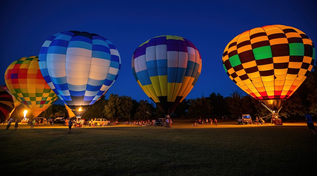 Night view of the Firelake Fireflight Balloon Festival event