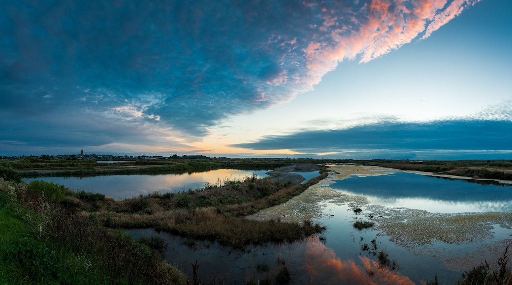 Un paysage dominé par une vaste étendue d’eau, bordée de zones marécageuses, avec, au loin, la silhouette d’une ville.