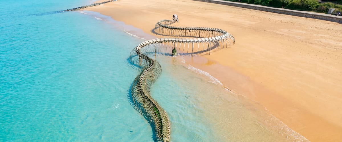 Una serpiente grande en una playa con agua turquesa cristalina.