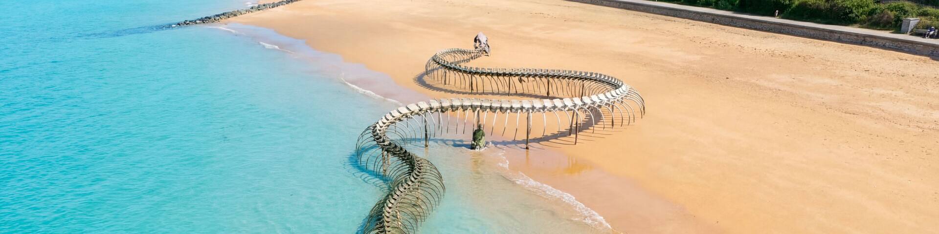 A large snake on a beach with clear turquoise water.
