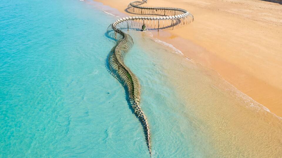A large snake on a beach with clear turquoise water.