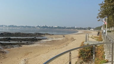 Vista costeira com linha de costa rochosa, uma praia arenosa e uma estátua sobre um pilar.