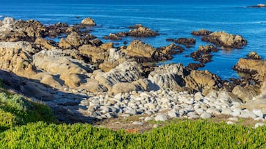 Rock formation and ocean water on the shoreline of Monterey Bay