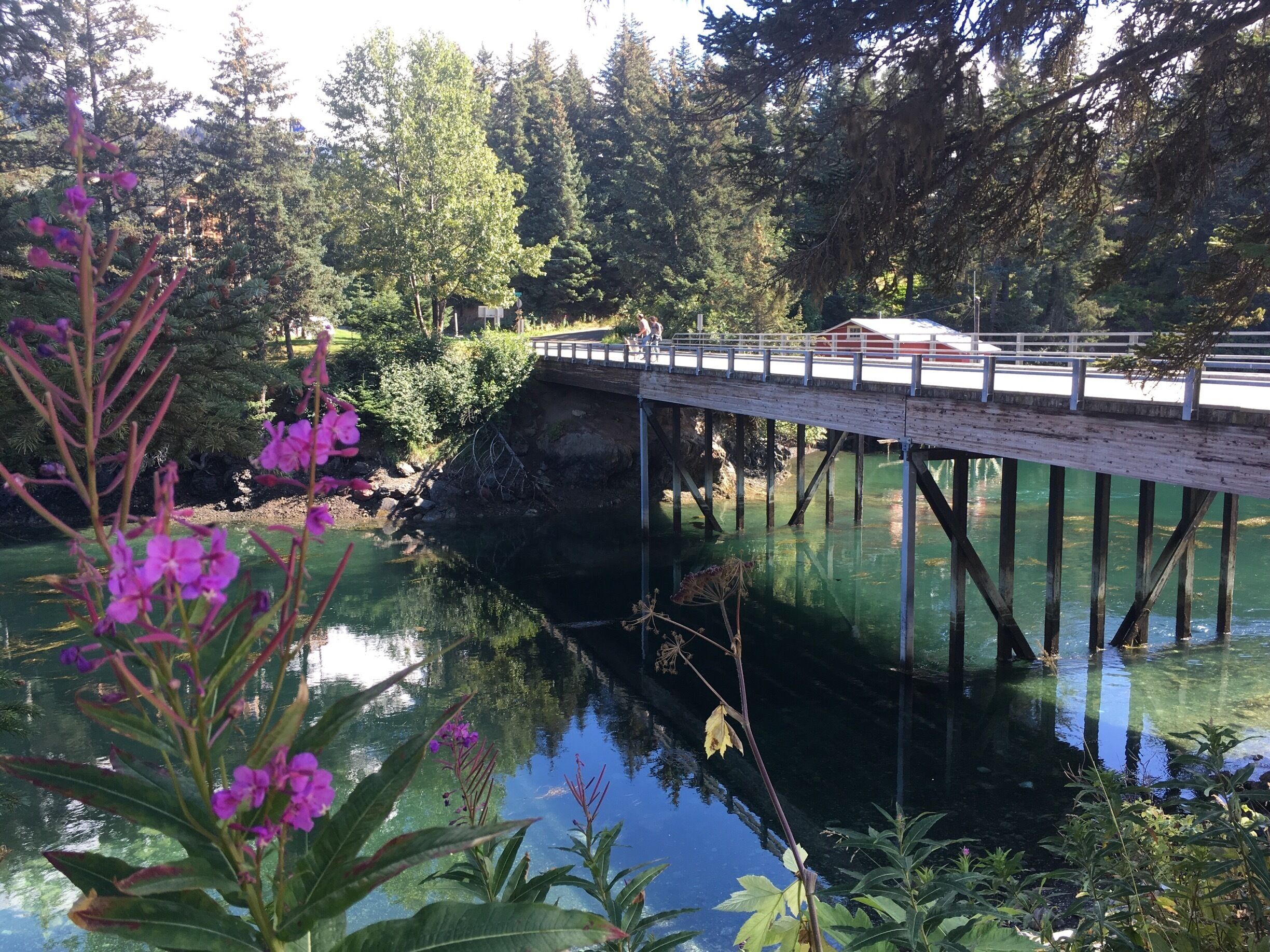 Seldovia Slough.

#AquaTrove