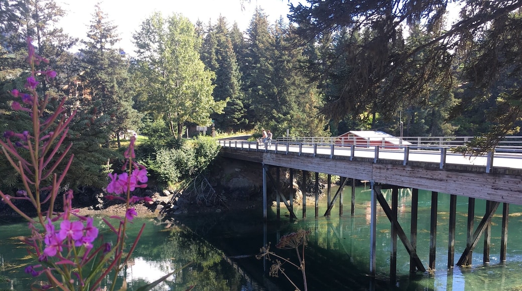 Seldovia Slough.
#AquaTrove