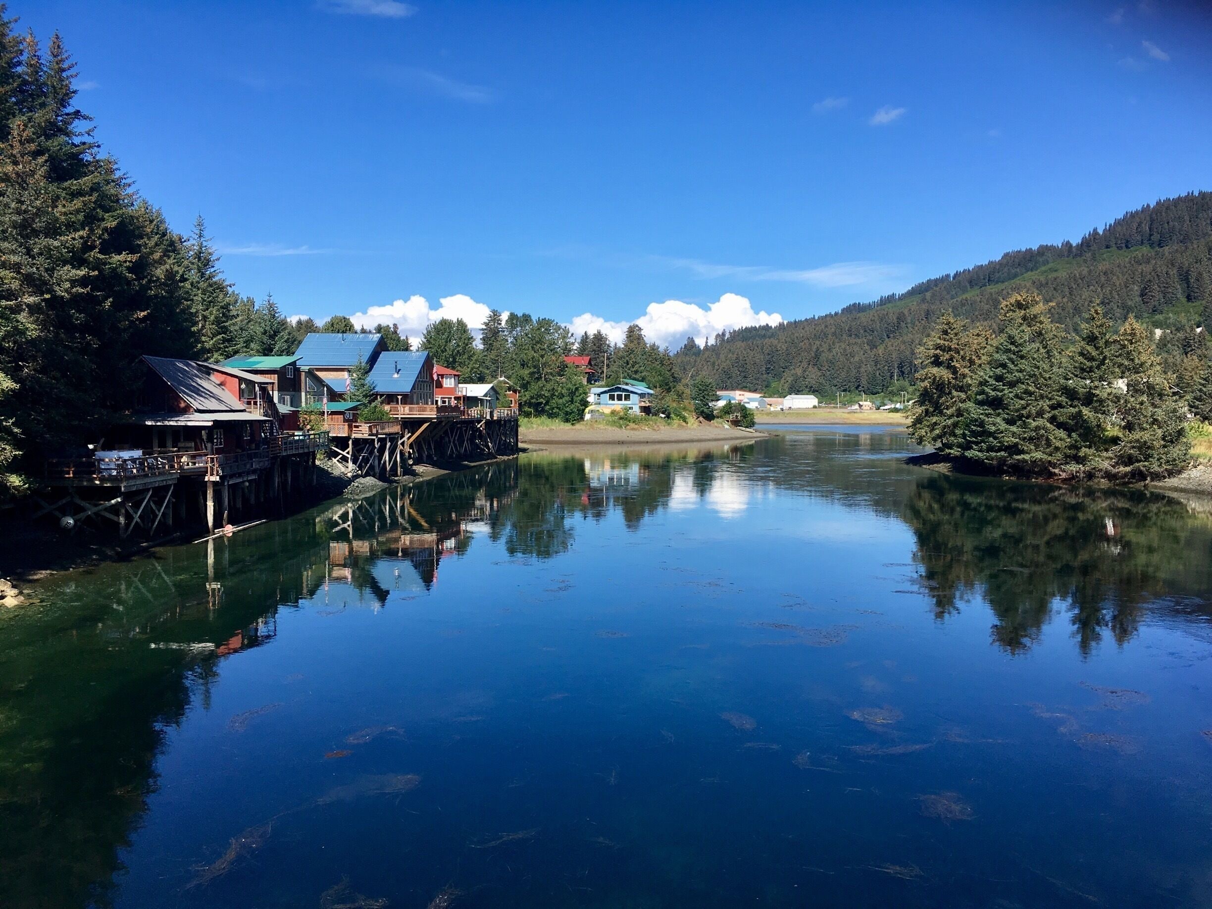 Seldovia Slough.

#AquaTrove