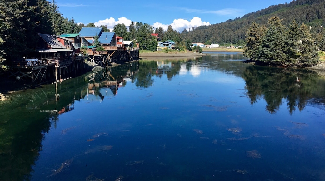 Seldovia Slough.
#AquaTrove