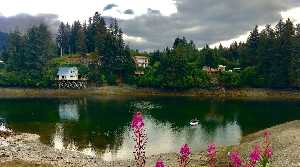 Seldovia Slough.
#AquaTrove