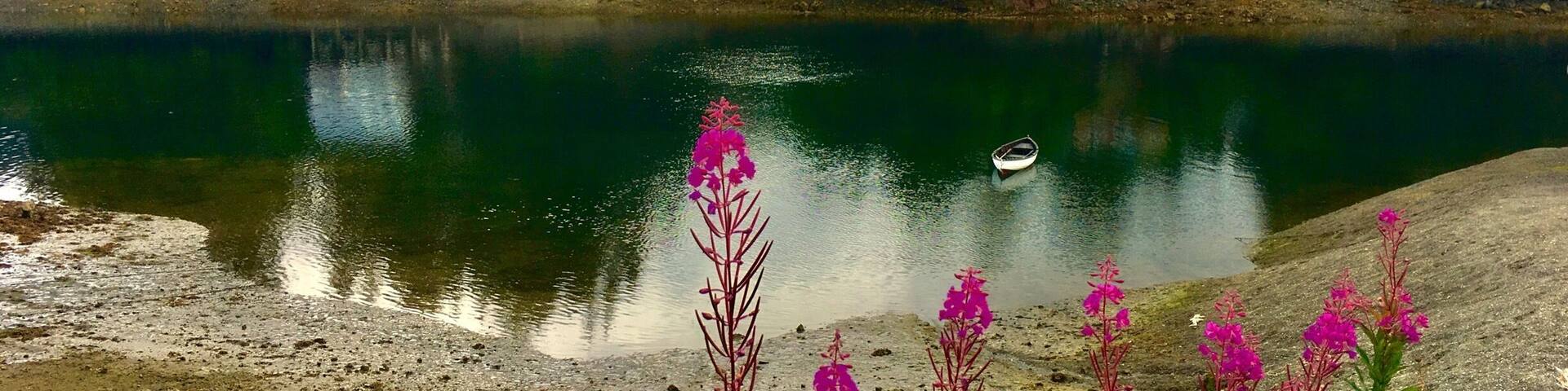 Seldovia Slough.
#AquaTrove