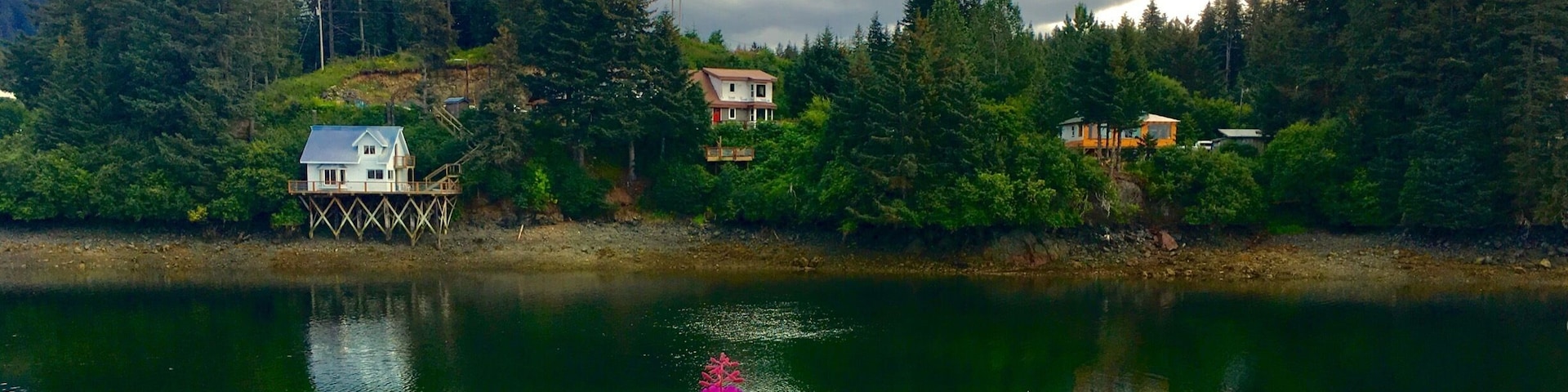 Seldovia Slough.
#AquaTrove